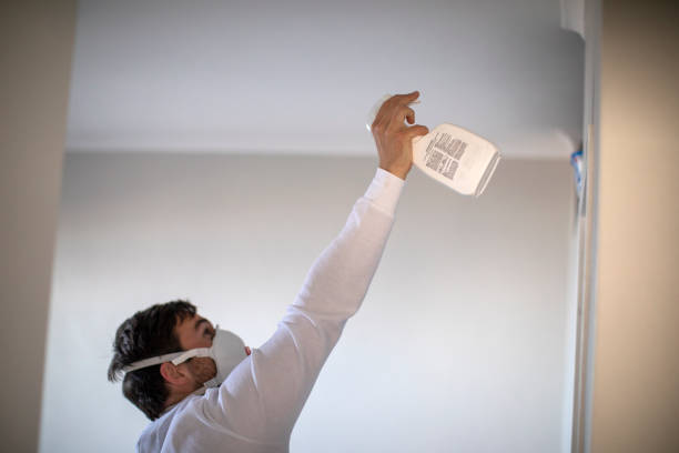 Best Residential Mold Removal  in Deadwood, SD